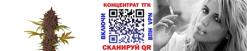 ТГК Wax Бугульма